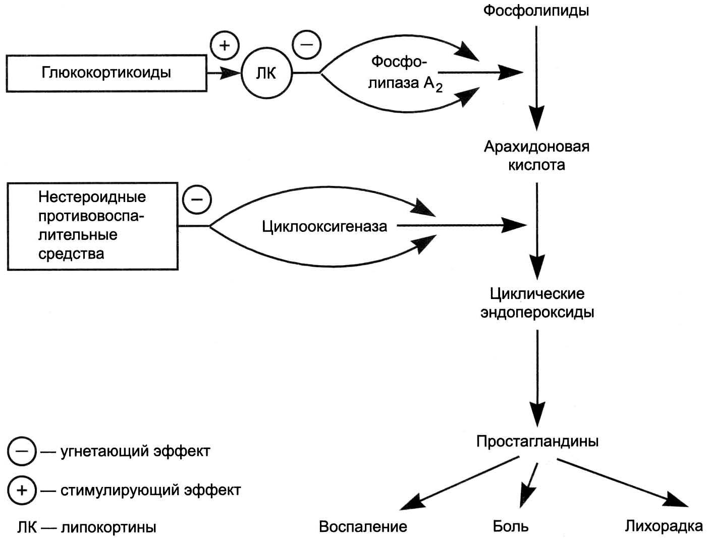 Таблетированные глюкокортикоиды принимаются по следующей схеме