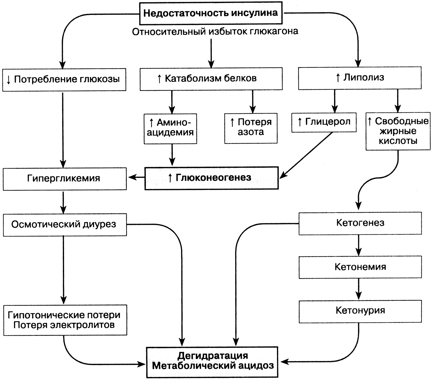 Схема развития диабетических ком