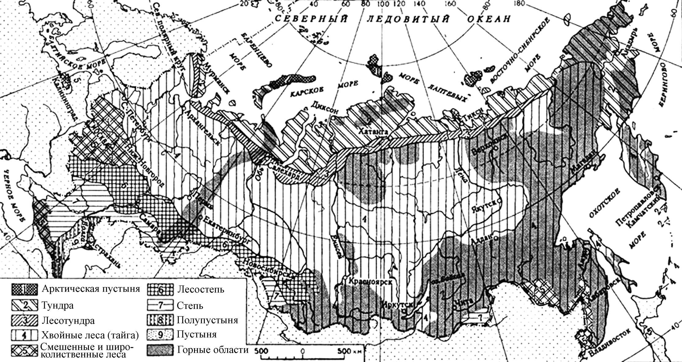 Переходные зоны россии. Карта России черно белая природные зоны. Контурная карта природных зон России 4 кл. Карта природных зон России 4 класс черно белая подписанная. Природные зоны России 4 класс окружающий мир черно белая карта.