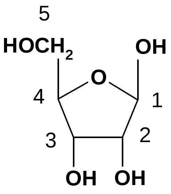 Б а н к n. 2 Дезокси д рибоза. 2-Дезокси-d-рибоза (DD). 2-Дезокси-б-рибоза (DD). D-рибоза и 2-дезокси-d-рибоза.