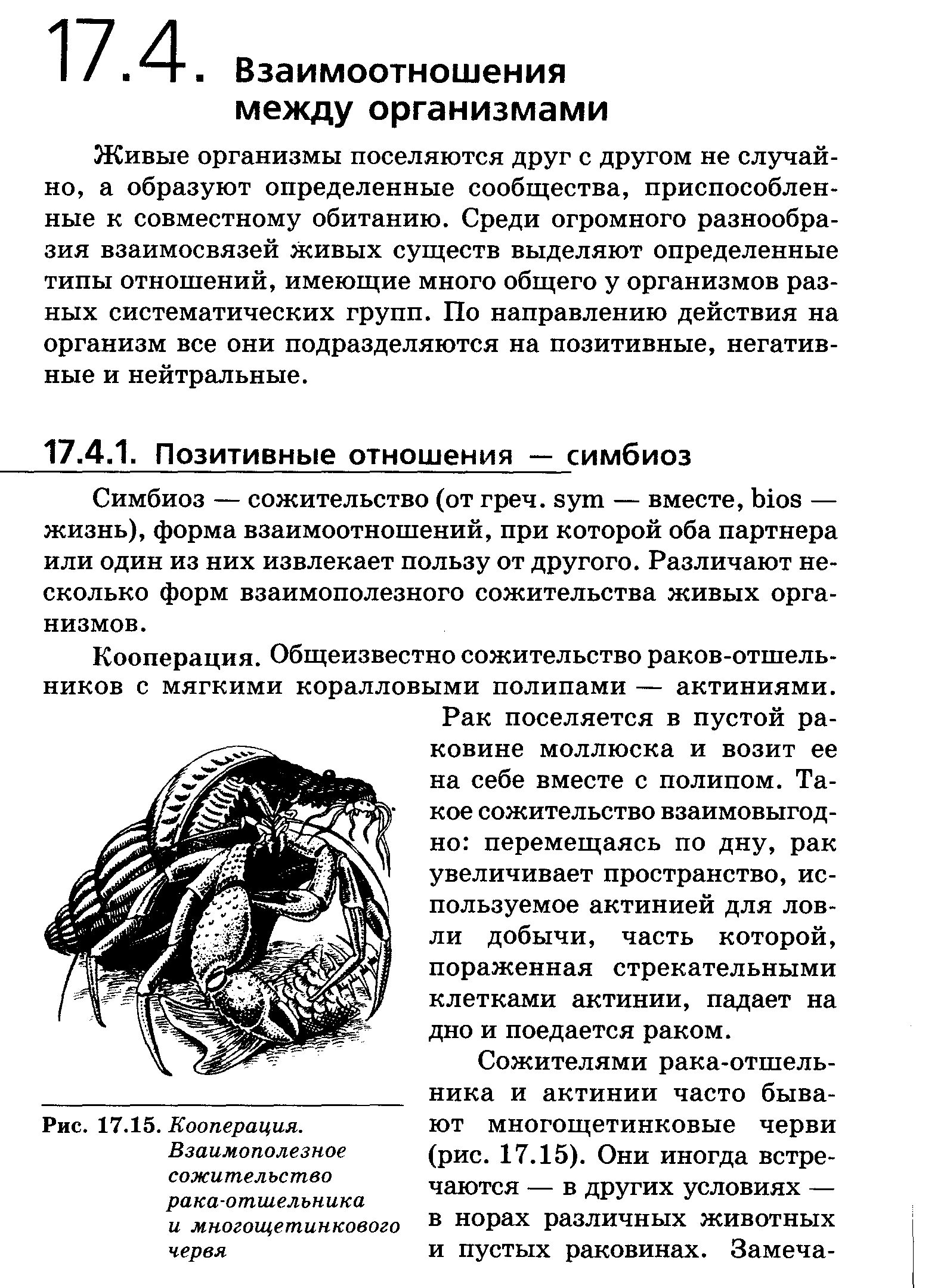 Взаимоотношение между организмами симбиоз: найдено 89 картинок