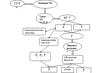 схема патогенеза бронхиальной астмы Патогенез бронхиальной астмы схема.