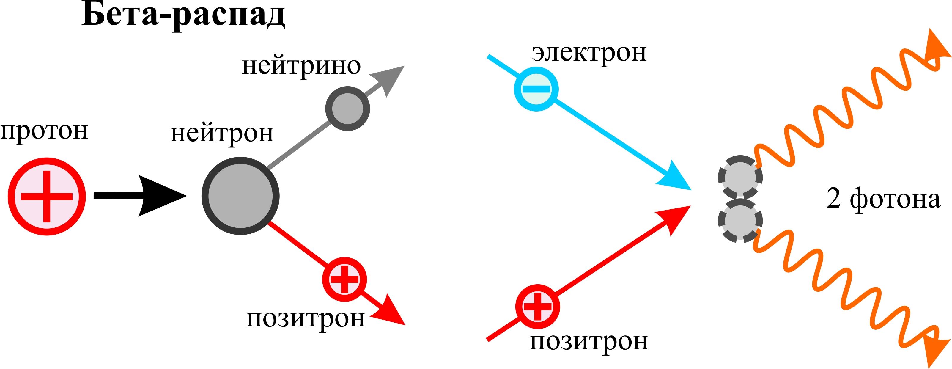 Распад позитрона