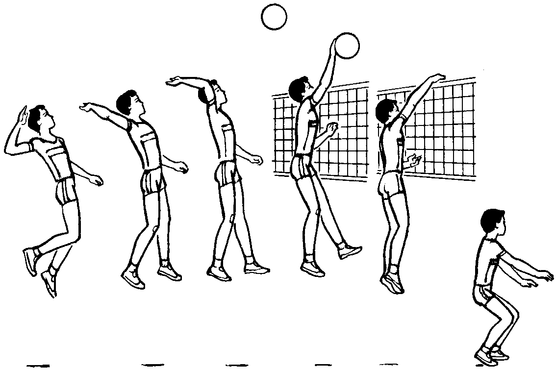 Волейбол как средство физического воспитания