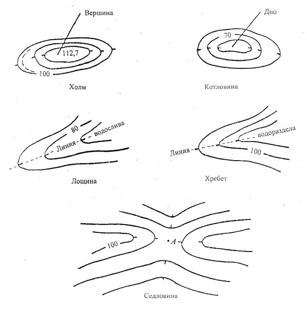 Изобразить холм горизонталями. Гора котловина хребет Лощина седловина изображение. Формы рельефа гора,котловина, хребет, Лощина, седловина. Основные формы рельефа седловина. Рельеф холма на топографической карте.