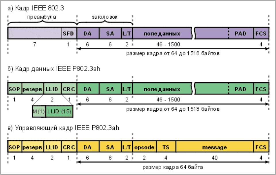 Кадр данных. Структура кадра Ethernet. Базовая структура кадра Ethernet. Структура кадра. Структура кадра данных.