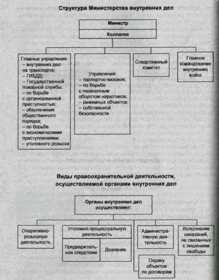 Организация управления правоохранительных органов