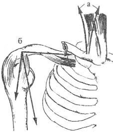 При переломах ребер показано повязка