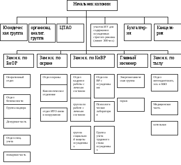 Структура уфсин. Организационная структура ФКУ ИК. Организационная структура управления ФСИН РФ. Организационная структура ФСИН РФ схема. Организационная структура исправительной колонии.