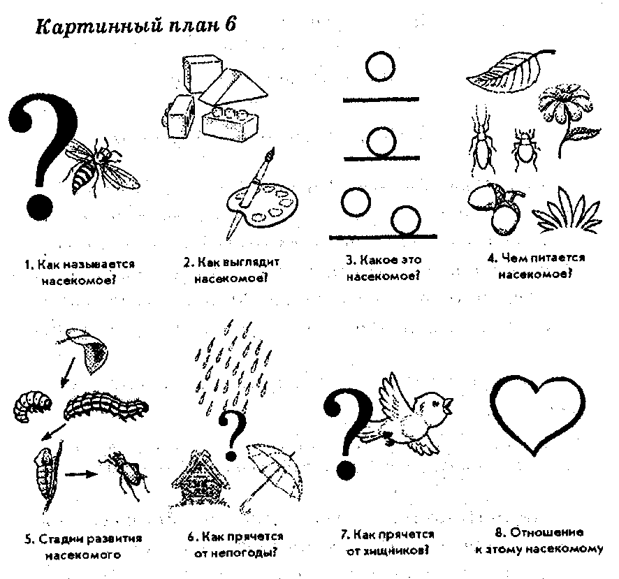 Составление рассказа по картинкам насекомые