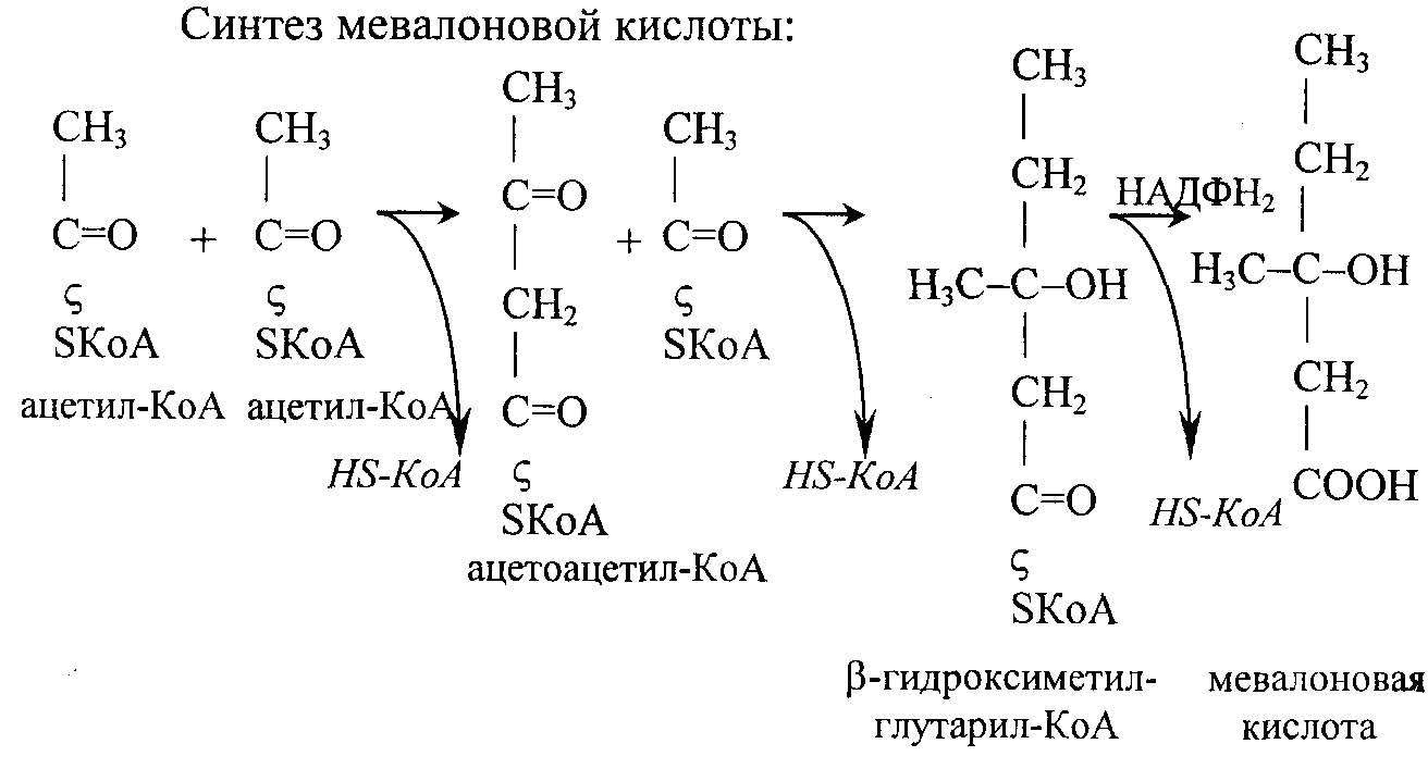 Теле синтез. Синтез мевалоновой кислоты из ацетил КОА. Биосинтез мевалоновой кислоты. Ацетил коэнзим а Синтез холестерола. Синтез мевалоновой кислоты.