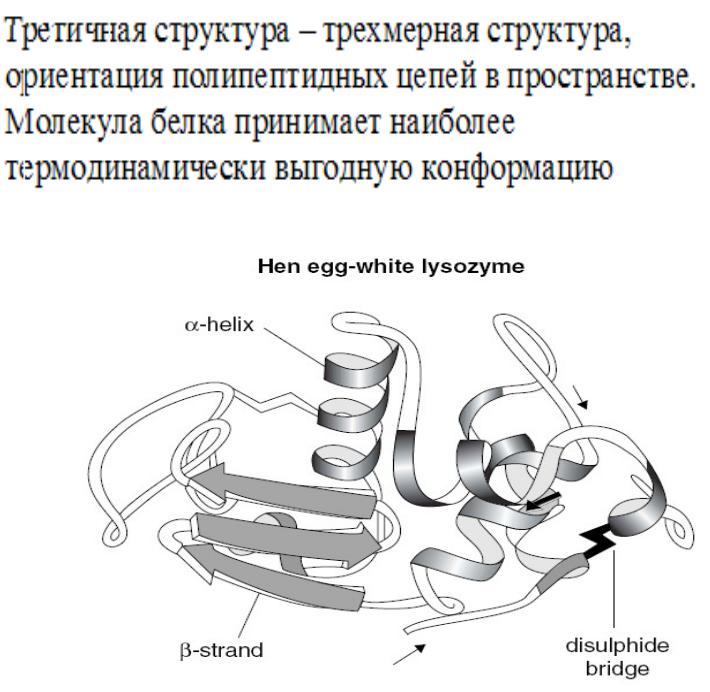 Структура ориентации. Трехмерная структура. Пив строение и ориентация. Аппарат Диляра схема.