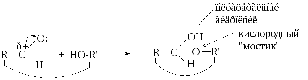 Цикло-оксо-таутомерия моносахаридов