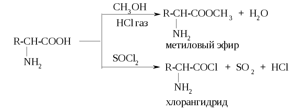 Хлорид фосфора вода реакция. Аланин с тионилхлоридом. Аминокислота и Тионилхлорид. Реакция с хлоридом фосфора 5. Ацетон и хлорид фосфора.