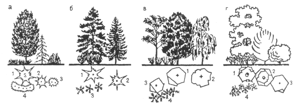 Три группы деревьев. Схема древесно кустарниковых насаждений. Схема посадки хвойных деревьев. Схема смешения сосны обыкновенной. Схема посадки древесно кустарниковых растений.