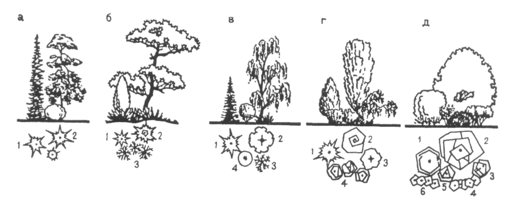 5 группа деревьев. Древесно кустарниковая группа схема. Древесно-кустарниковые композиции схемы. Схема древесно кустарниковых насаждений. Схема посадки древесно-кустарниковых.