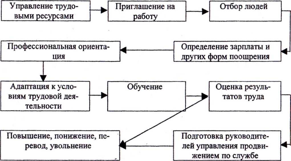 Управление трудовыми ресурсами проекта Теоретические основы управления персоналом, Концептуальные аспекты управления пе