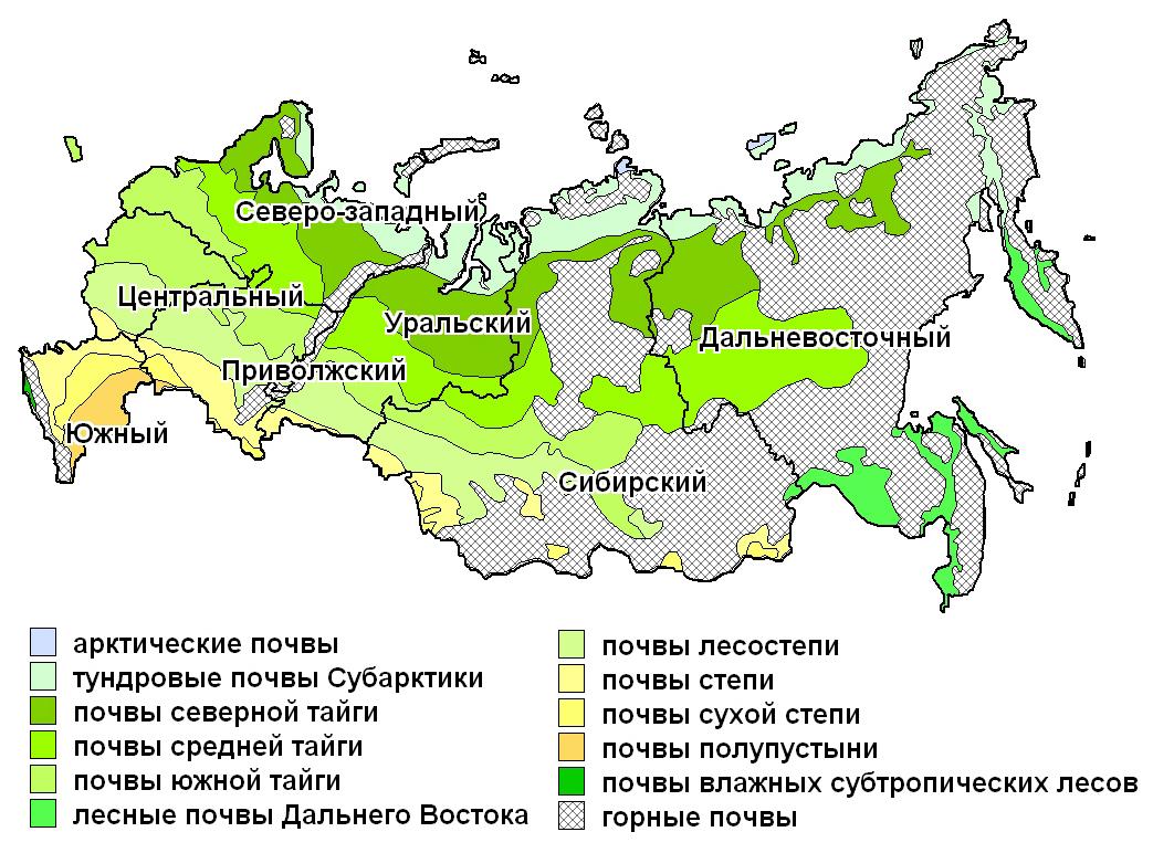 Почвы региона. Карта плодородия почв. Почвенные ресурсы России карта.