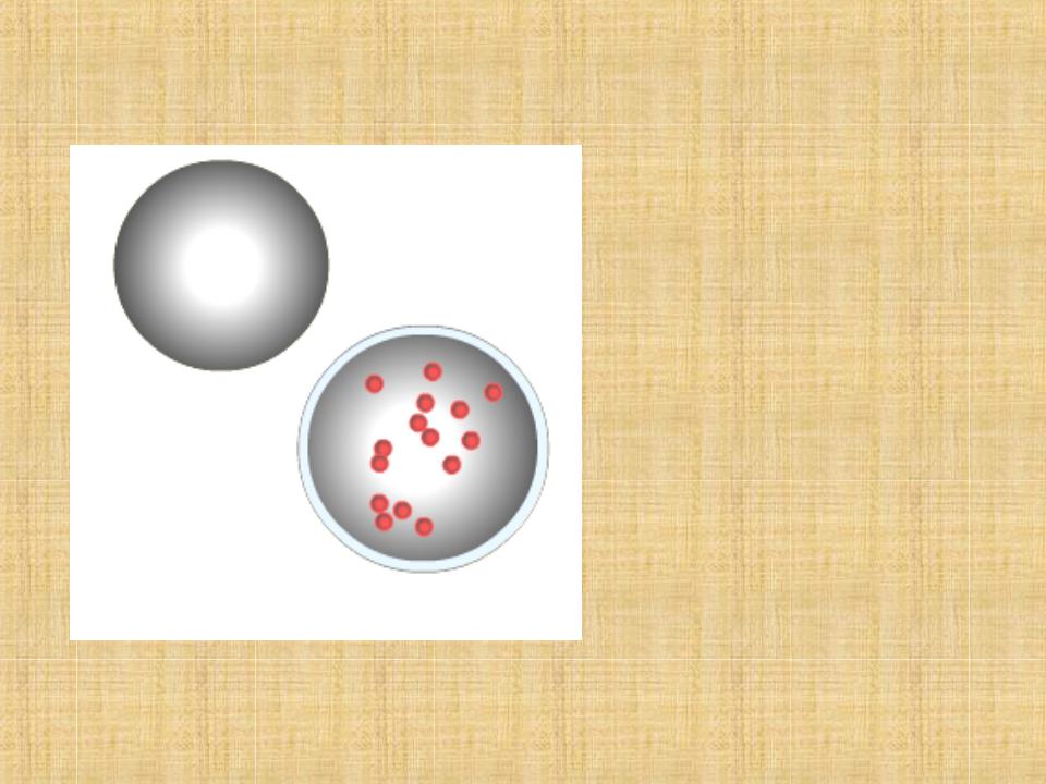 Рисунок лизосом клетки