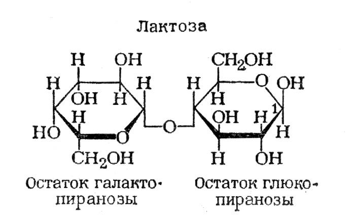 Лактоза биологическая роль. Лактоза строение. Лактоза гликозидная связь. Форма d лактозы. Лактоза остатки.