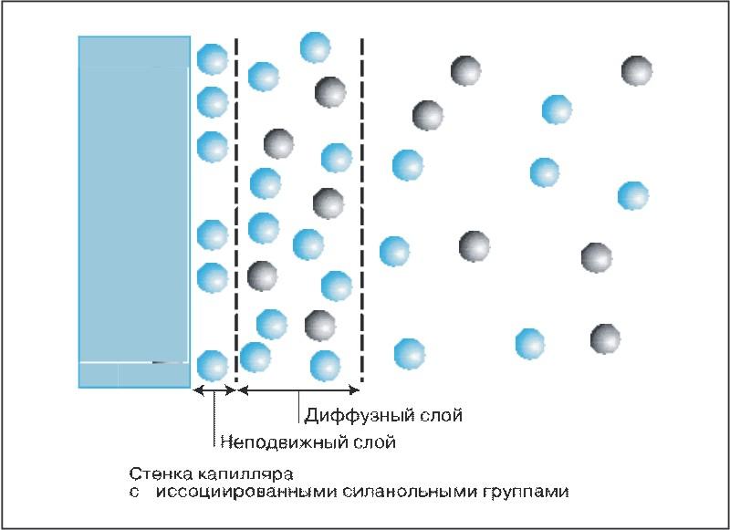 Двойной слой. Двойной электрический слой в капиллярном электрофорезе. Диффузионный слой двойного электрического слоя. Диффузный слой. Схема образования двойного электрического слоя.