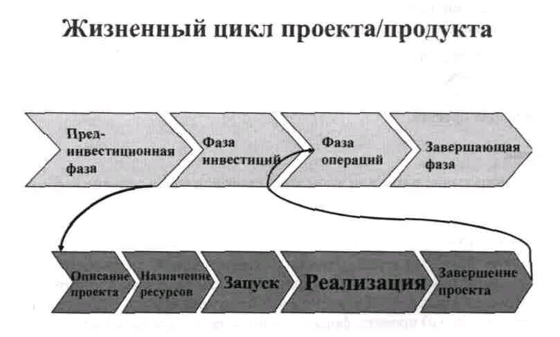 Исходя из каких критериев можно выделять фазы жизненного цикла проекта