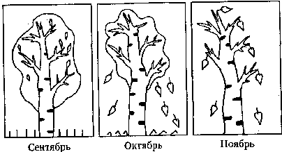 Frame60