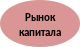 Овал 5