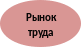 Овал 6
