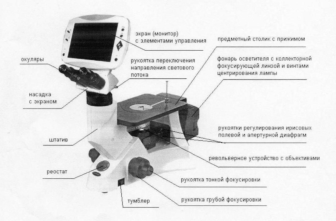 Оптическая схема металлографического микроскопа