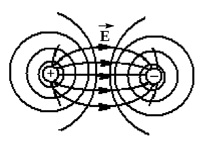 Вертикальное однородное электрическое поле