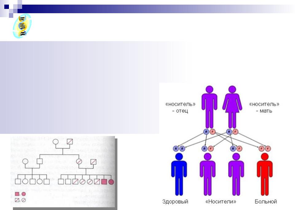 Гомозиготный генотип пример. Гомозигота. Гомозигота и гетерозигота это. Генотип гетерозиготы. Гомозигота скрещиваетсяс гетерозиготой.
