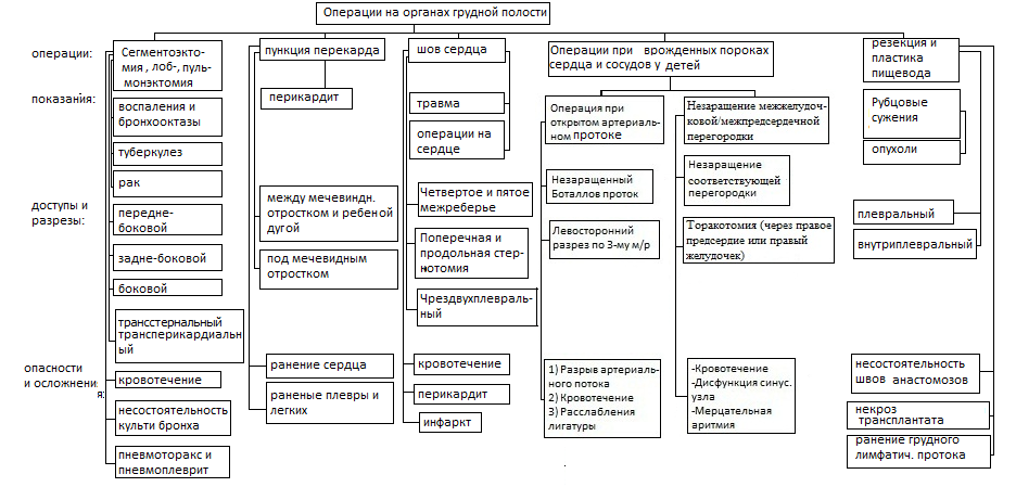 Сосуды и нервы заднего средостения