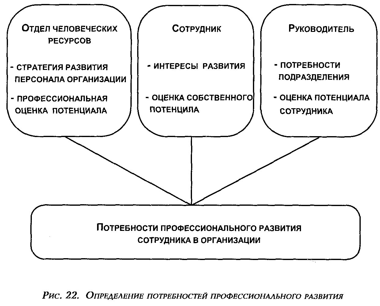 Развитие кадров управления. Определение потребности в развитии персонала. Система профессионального развития персонала. Профессиональное развитие персонала. Определение потребностей в профессиональном развитии.