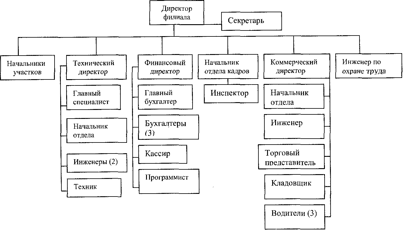 Организационная структура кфс схема