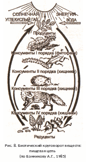 Консументы 1 порядка водоема. Консументы 1 порядка водоема. Консументы 1 порядка водоема. Консументы 1 порядка водоема. Консументы 1 порядка водоема.
