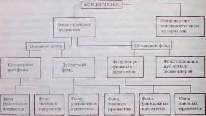 Использование фондов музея. Структура фондов музея. Структура фондов музея схема. Структура музейного фонда. Состав музейных фондов.
