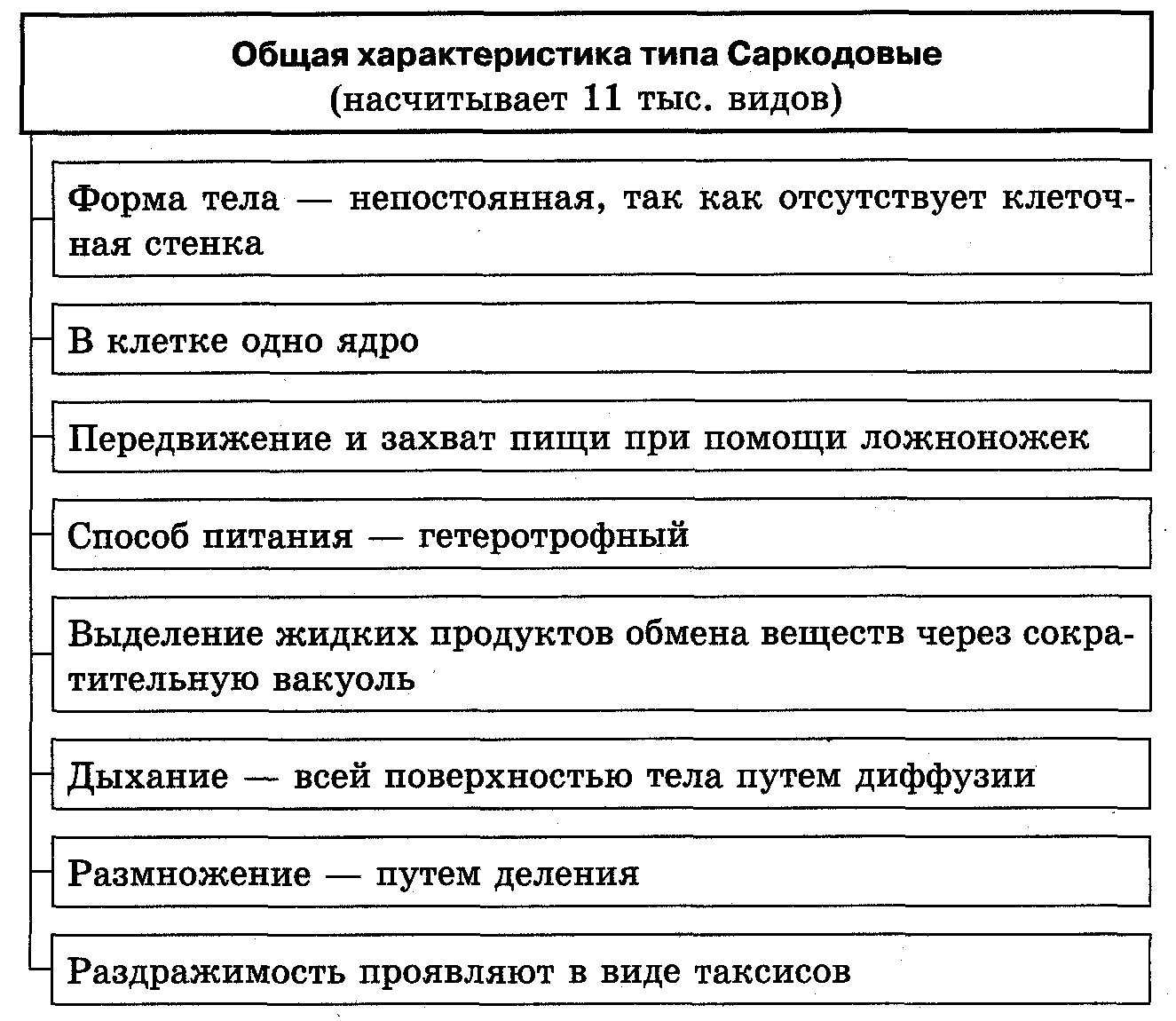 Общая характеристика класса