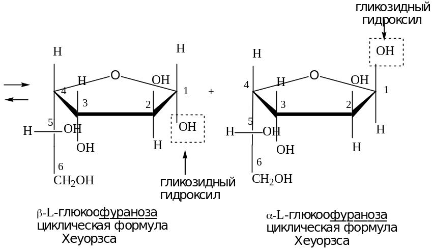 Схема таутомерных превращений d галактозы