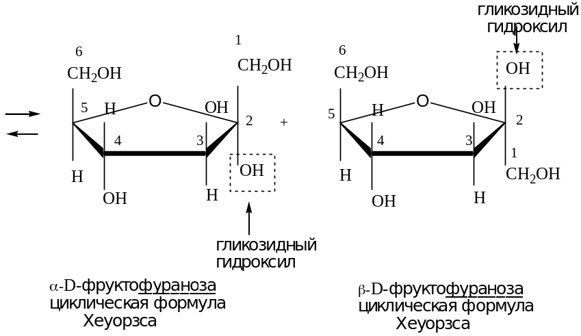 Фуранозный цикл д фруктозы. Циклическая форма арабинозы. Пиранознеый цикл фруктозы. Гликозидный гидроксил в циклических формах для d-фруктозы. Фруктоза циклическая