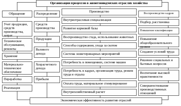 Бизнес-планирование, разработка бизнес-плана, основные разделы