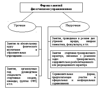 Дайте краткую характеристику форм занятий физическими упражнениями
