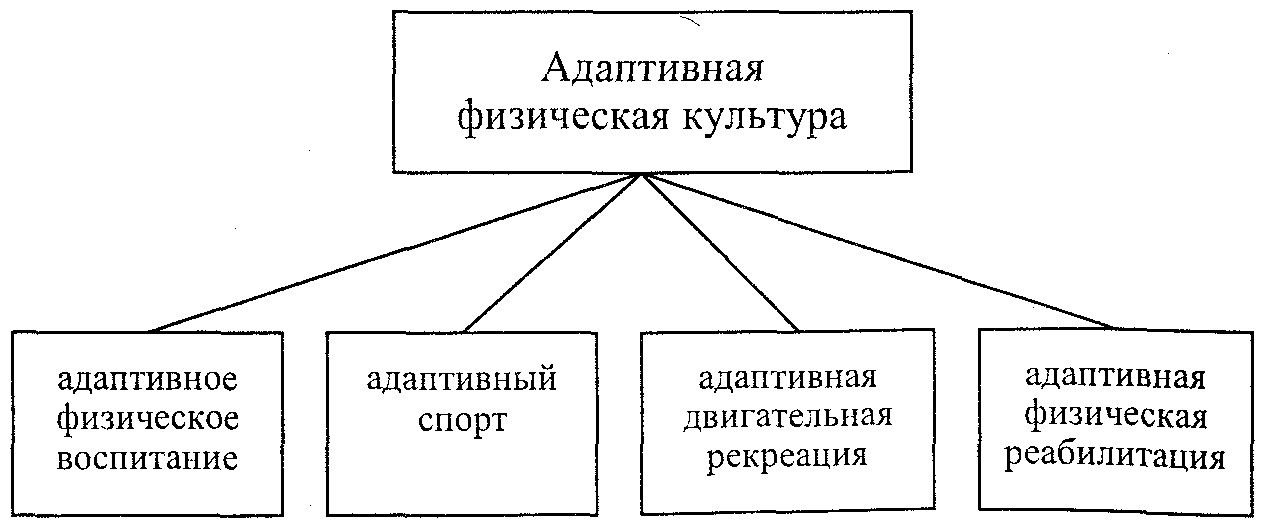 Адаптивная культура это. Задачи адаптивной физической культуры. Виды адаптивной физической культуры. Основные виды АФК. Направления адаптивного спорта.