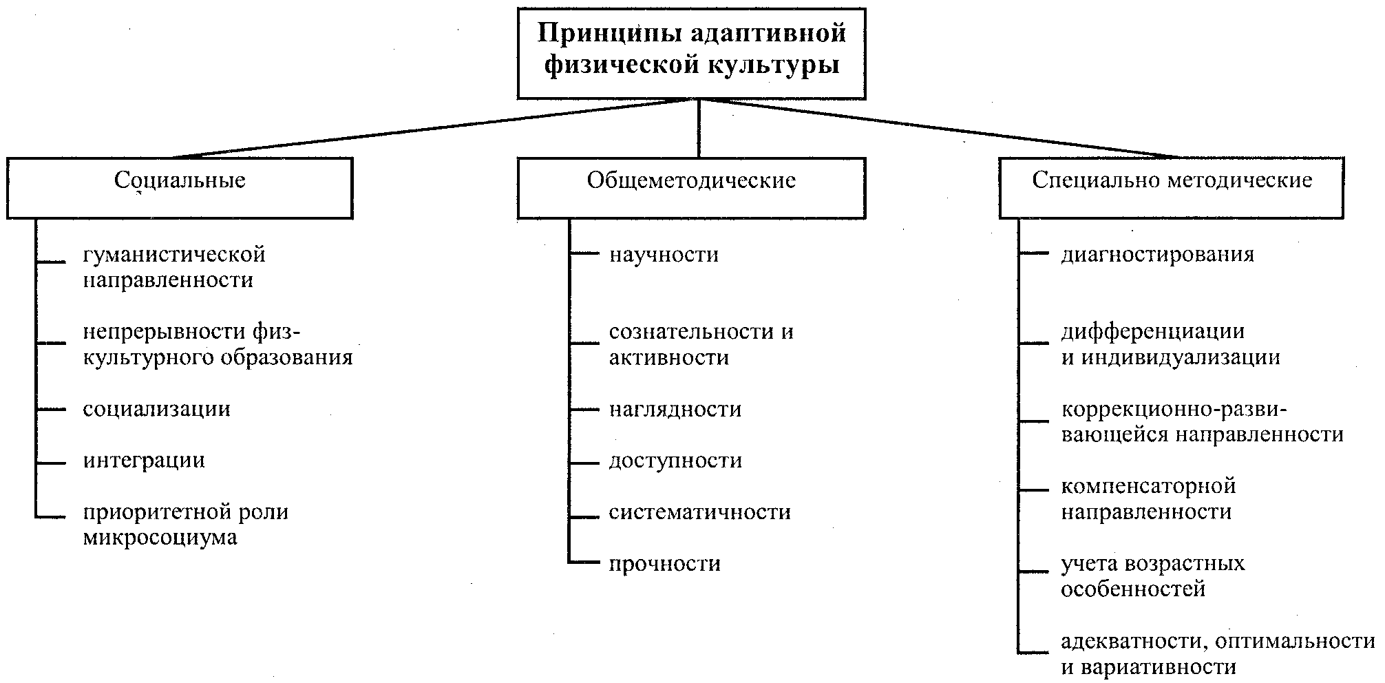 Общие и специфические принципы