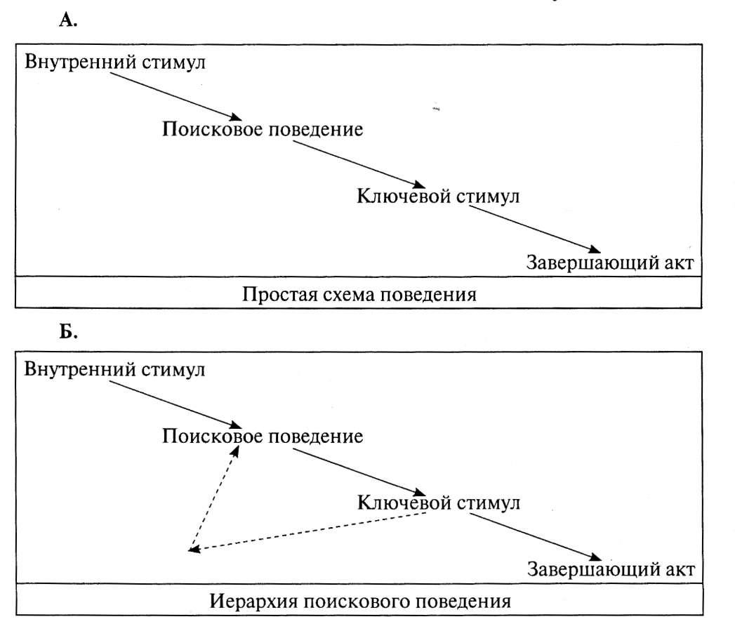 Формы поведения схема