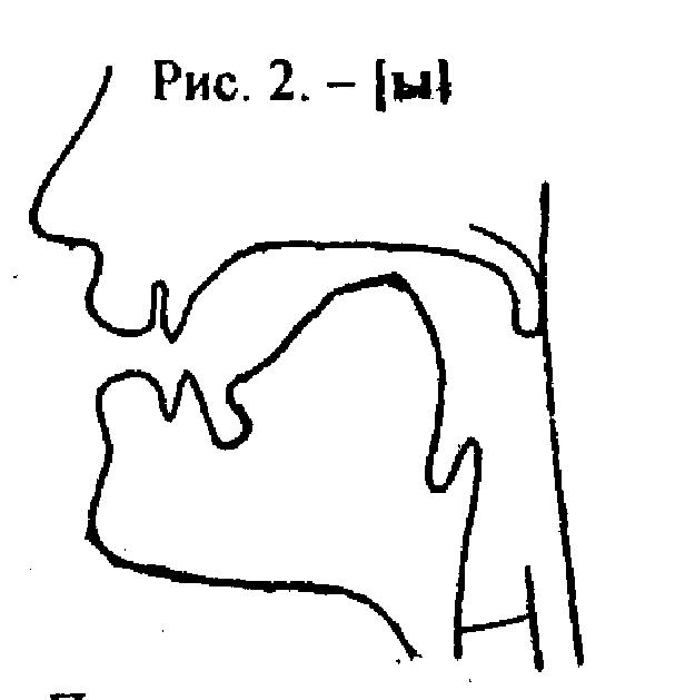 Произношение звука э. Артикуляционные профили гласных звуков. Артикуляционный профиль звука ы. Артикуляция звука ы. Артикуляционный профиль звука с.