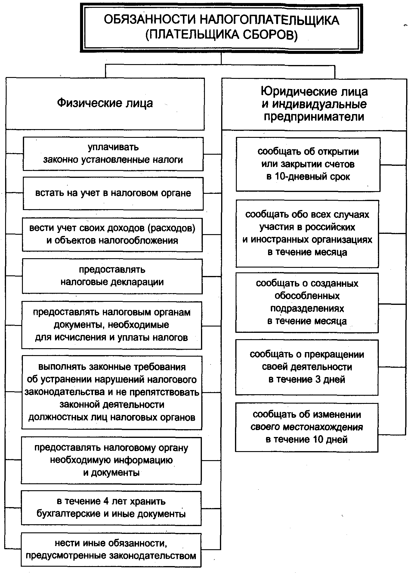 Правовой статус налогоплательщика в рф план егэ