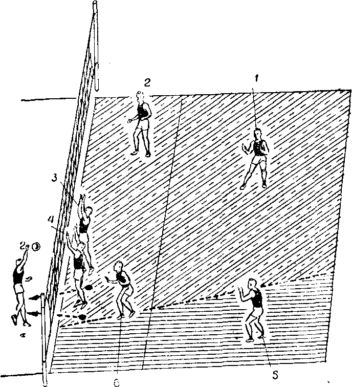 Схема защиты в волейболе