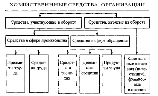 3. Хозяйственные средства: состав и размещение