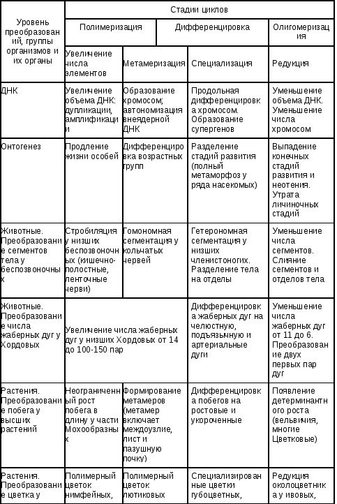 3.3. Онтогенез и присущие ему закономерности. Эмбриональное и постэмбриональное